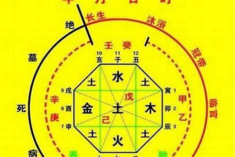 五行忌神|生辰八字的五行忌用神